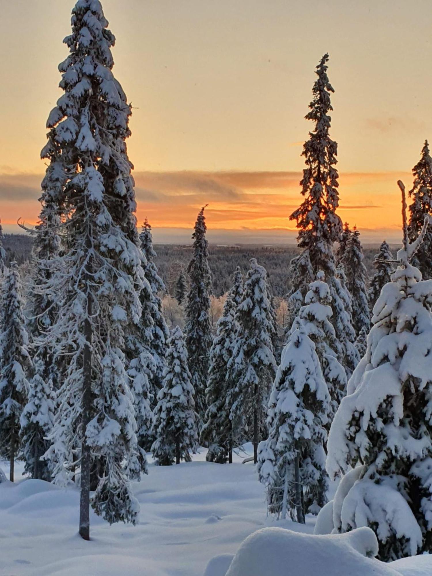 Hietavilla Borealis Ruka Exterior photo