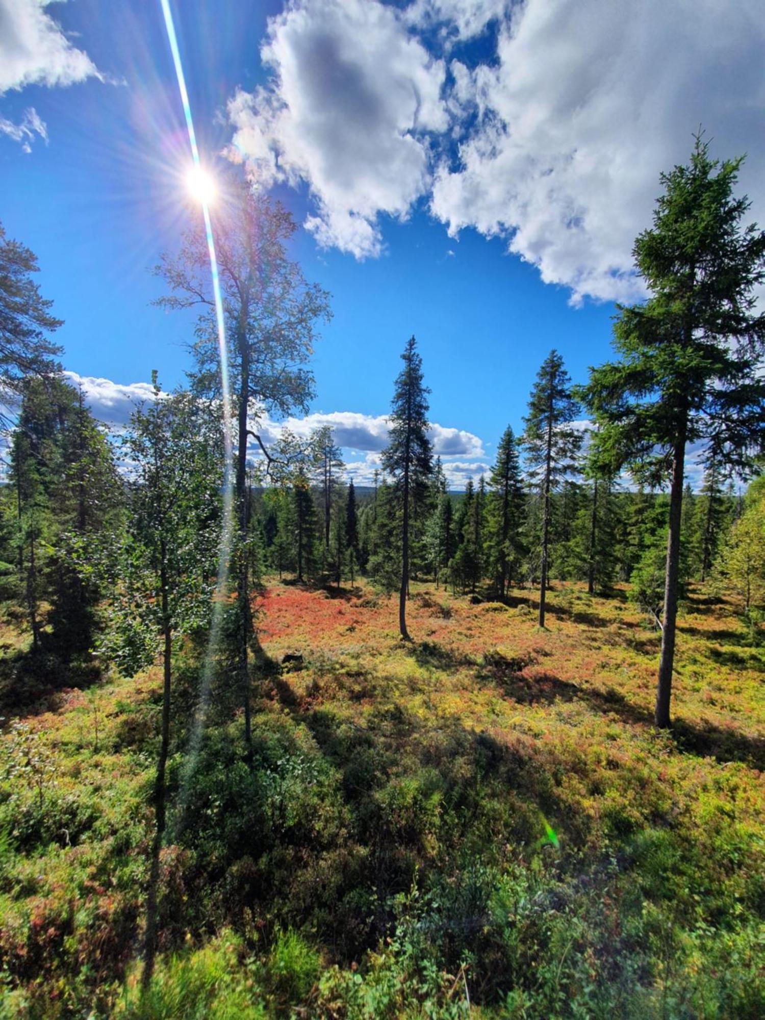 Hietavilla Borealis Ruka Exterior photo
